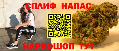 мдпв Ярославль
