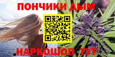 дмт Шелехов