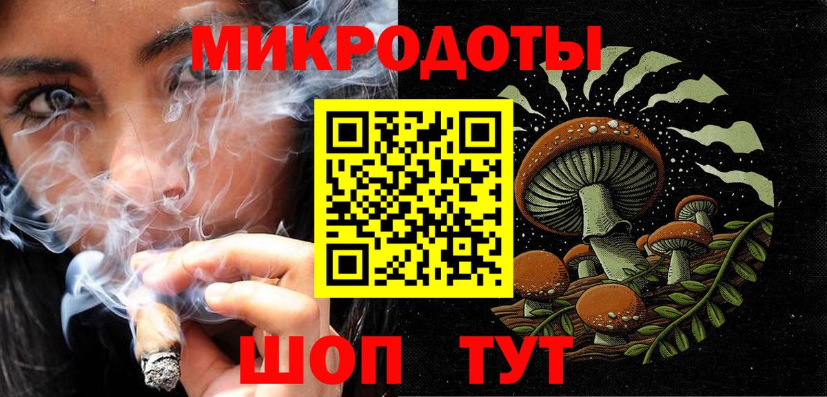 Псилоцибиновые грибы Psilocybe  Вход с VPN  Кингисепп 