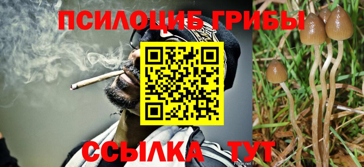 Псилоцибиновые грибы ЛСД Кингисепп